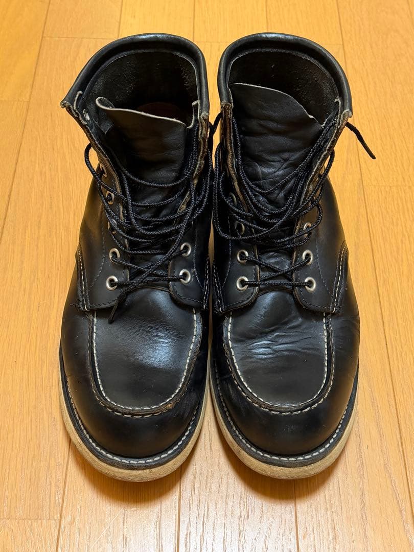 Do-san専用 綺麗なアイリッシュセッター 27.5