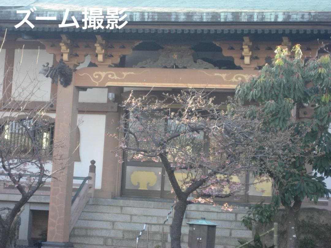 実写美⭕️良品【動作確認済】Canon　IXY　DIGITAL 70 PC1193