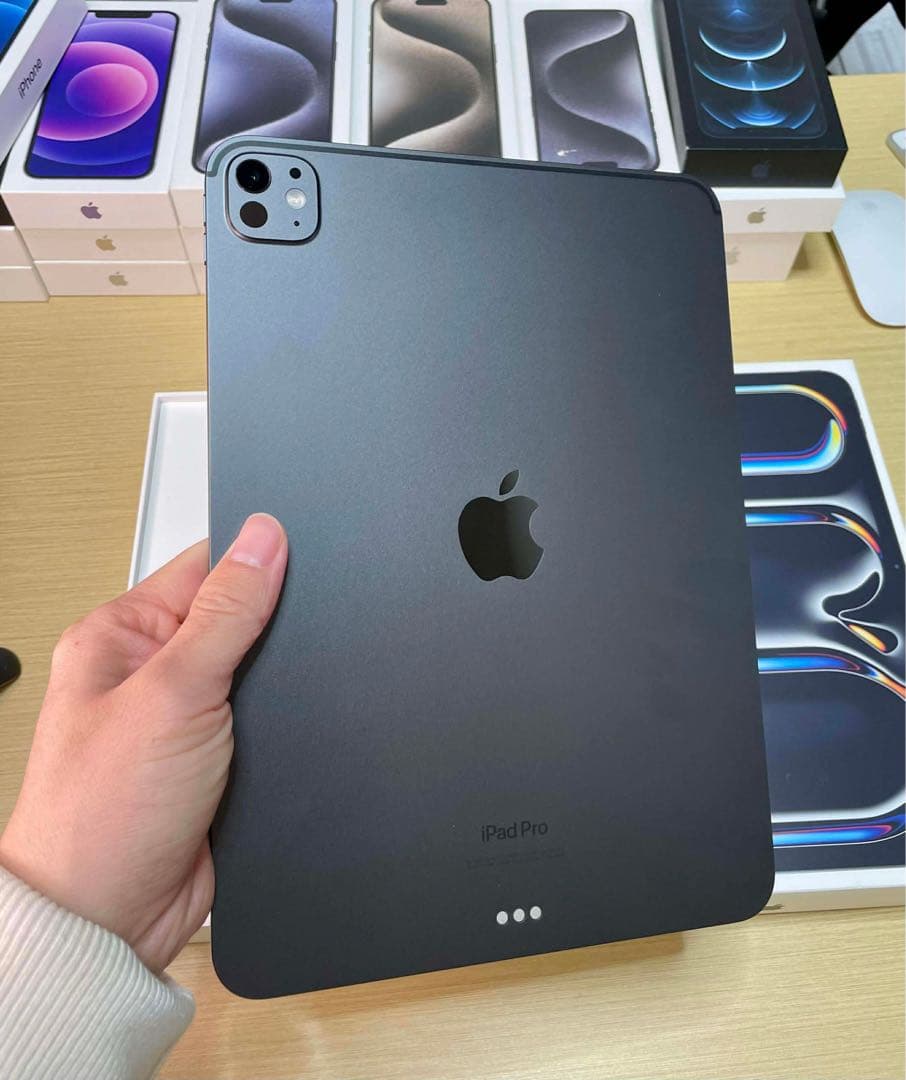 【美品】iPad Pro 11 M4 WiFi+Cellular