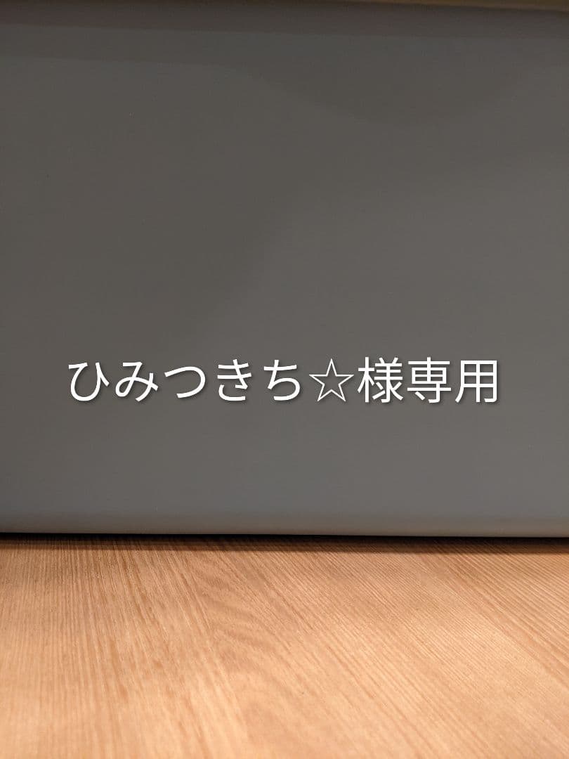 6体　　ひみつきち☆です　手乗りわんこ　トイプードル