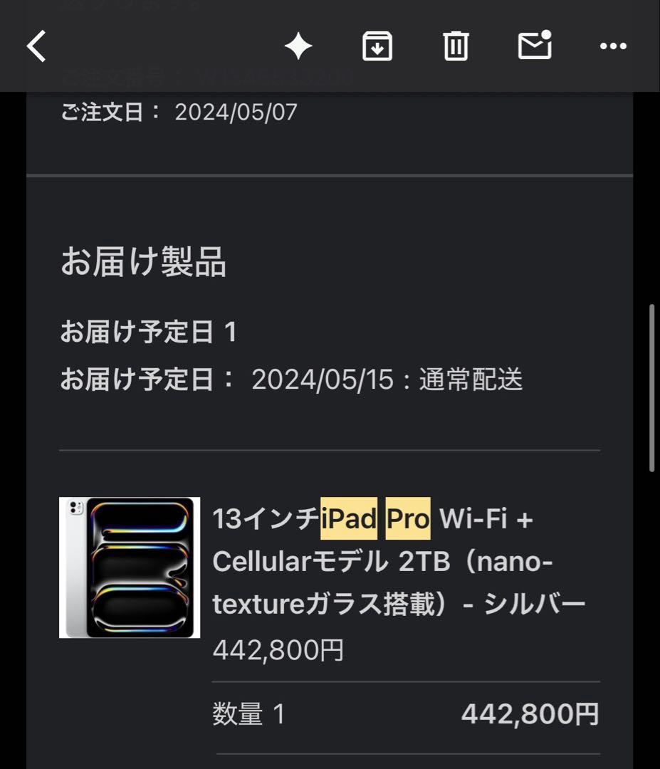 iPad Pro 2024 M4 13インチ 2TB SIMフリー