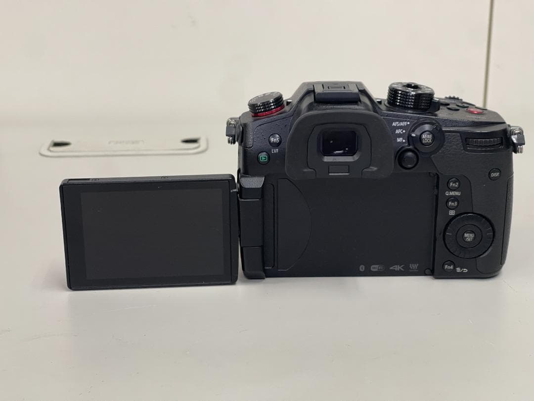 Panasonic LUMIX GH5S ボディ 美品・完動品・元箱付き
