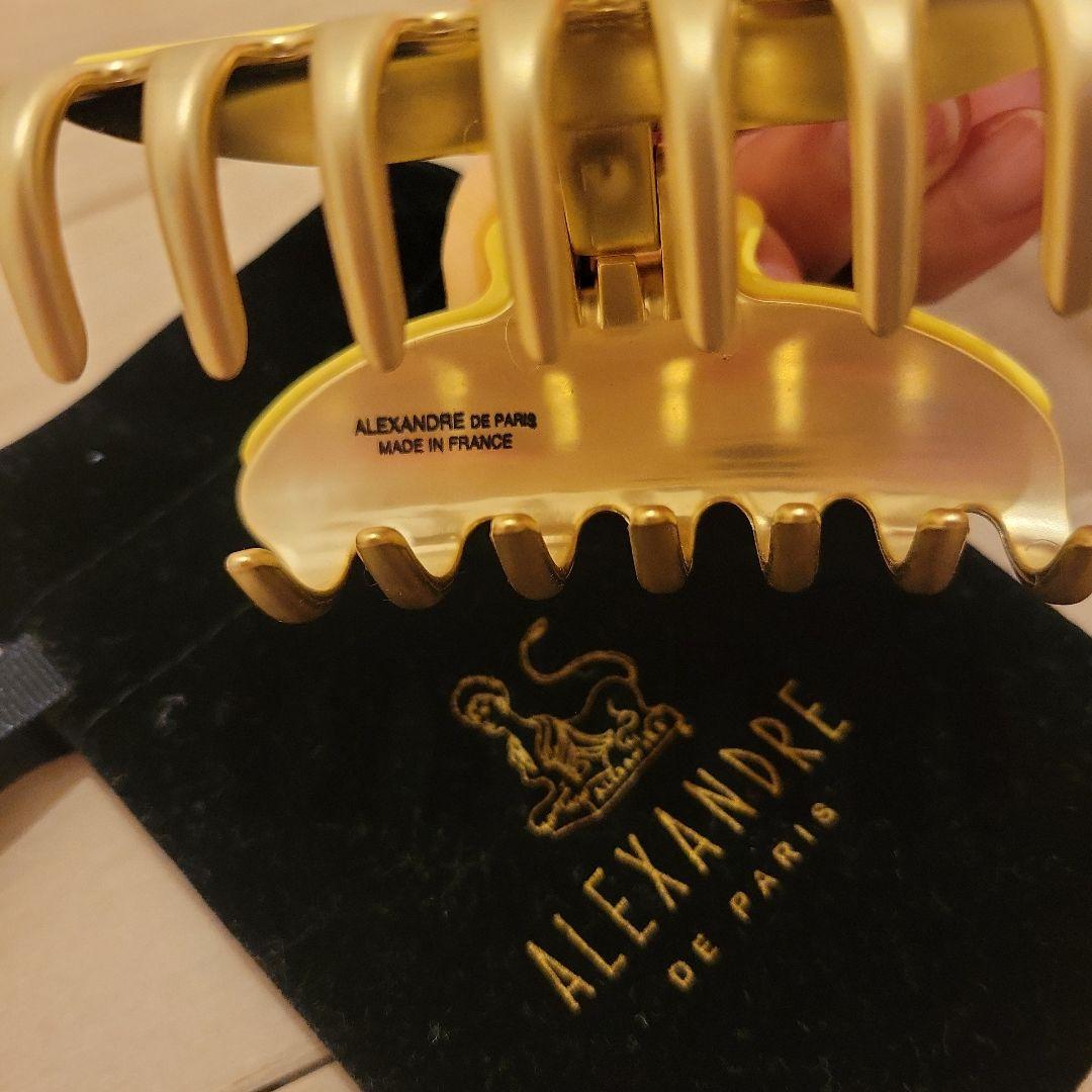 ⭐再値下げ⭐＊新品未使用＊　ALEXANDRE DE PARIS 　ヘアクリップ