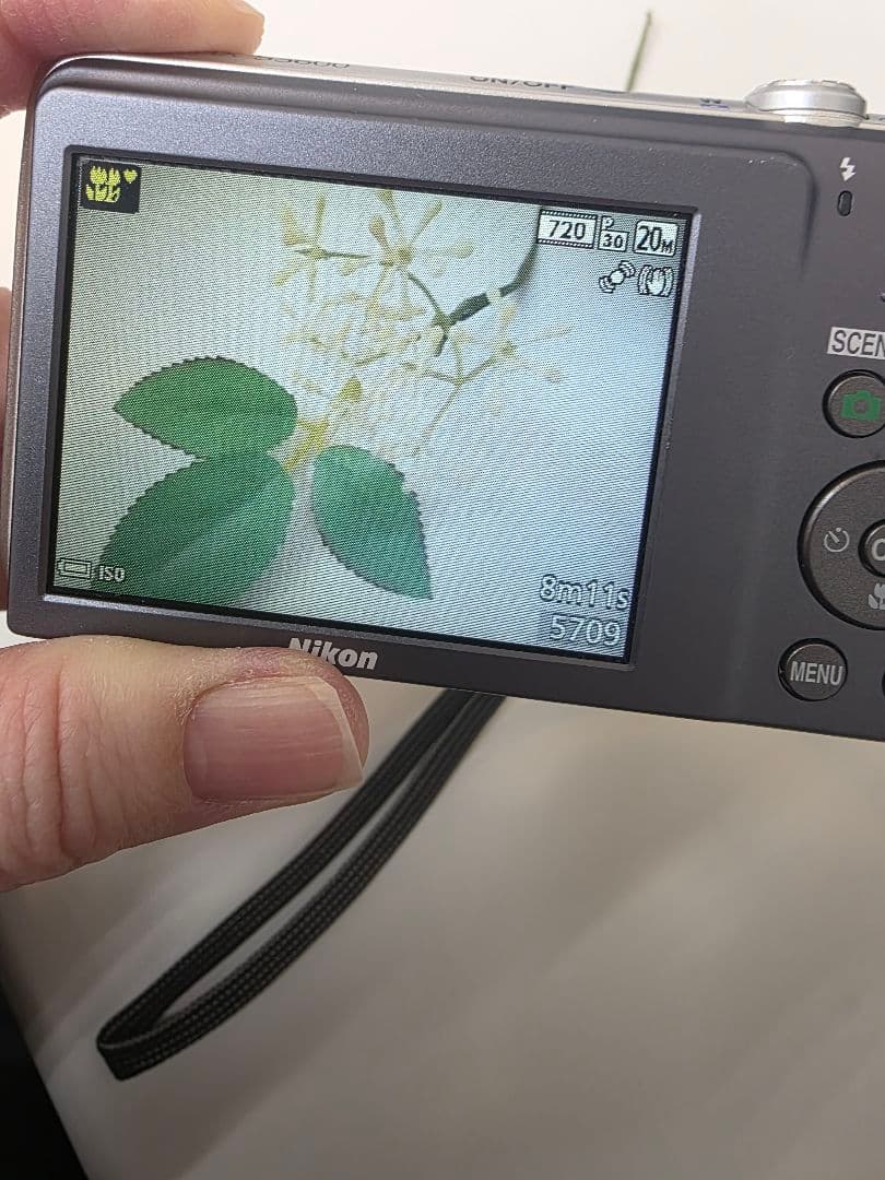 Nikon COOLPIX S3600 シルバー