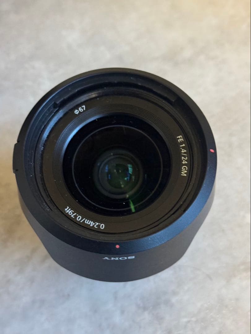 たか　SONY FE 24mm F1.4 GM SEL24F14GM