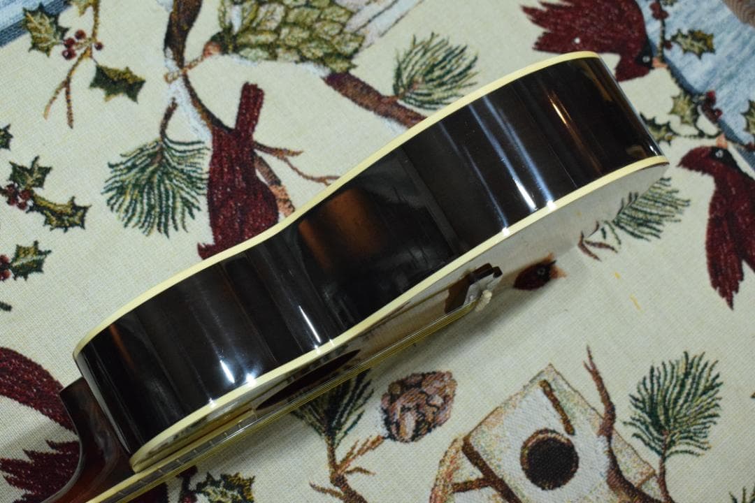 Aria Meister AMS-01BS アコギ