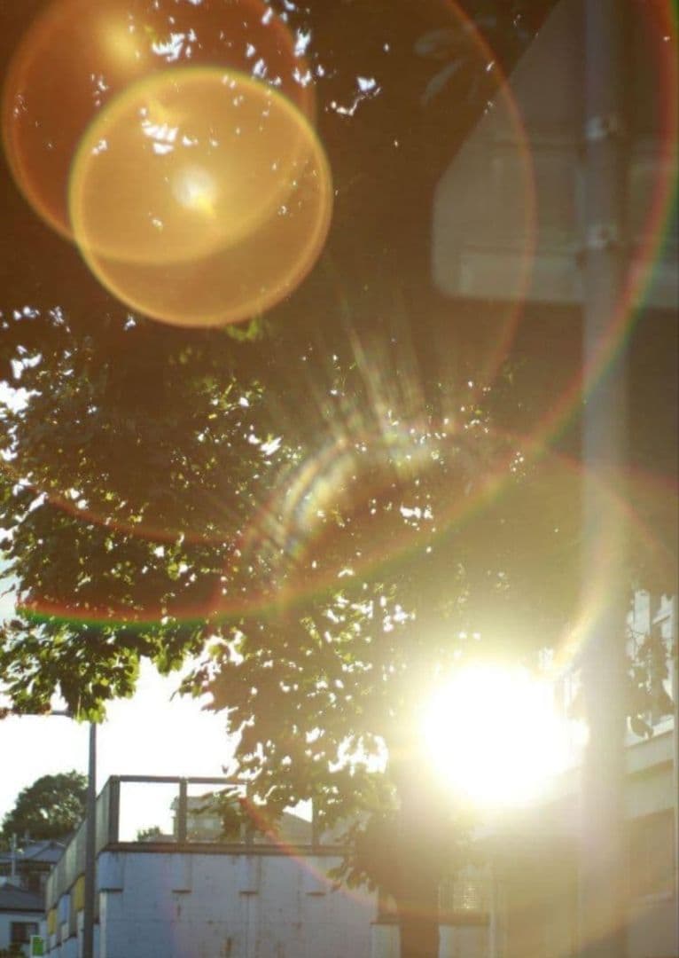 【フレアレンズ】Yashica Yashinon-DX 50mm f1.7