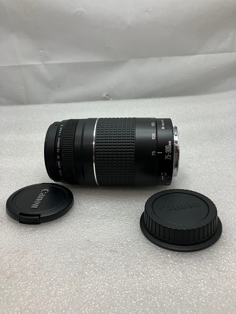 CANON純正定番望遠レンズ EF75-300mm f/4-5:6III型