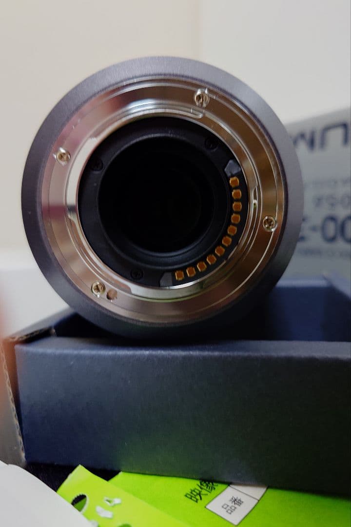 レンズ(ズーム) Panasonic LUMIX G VARIO 100-300mm