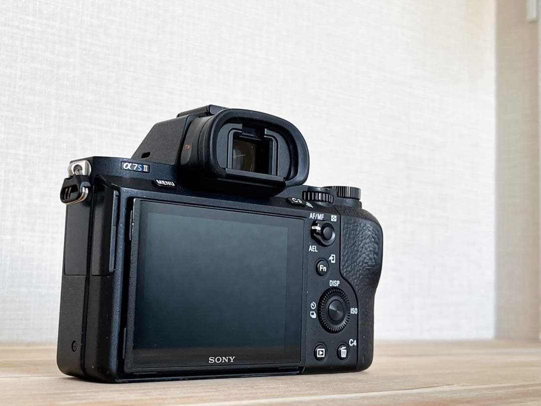 α7sⅡボディ+他付属品充実　中古