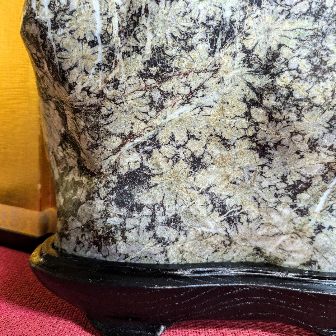 菊花石 岐阜県根尾谷産4.5㌔ 鑑賞石 観賞石 水石 盆石 天然石
