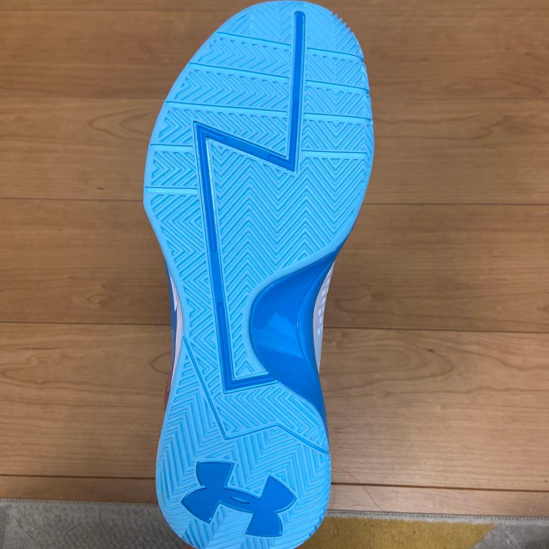 curry1 PRNT 28cm バッシュ