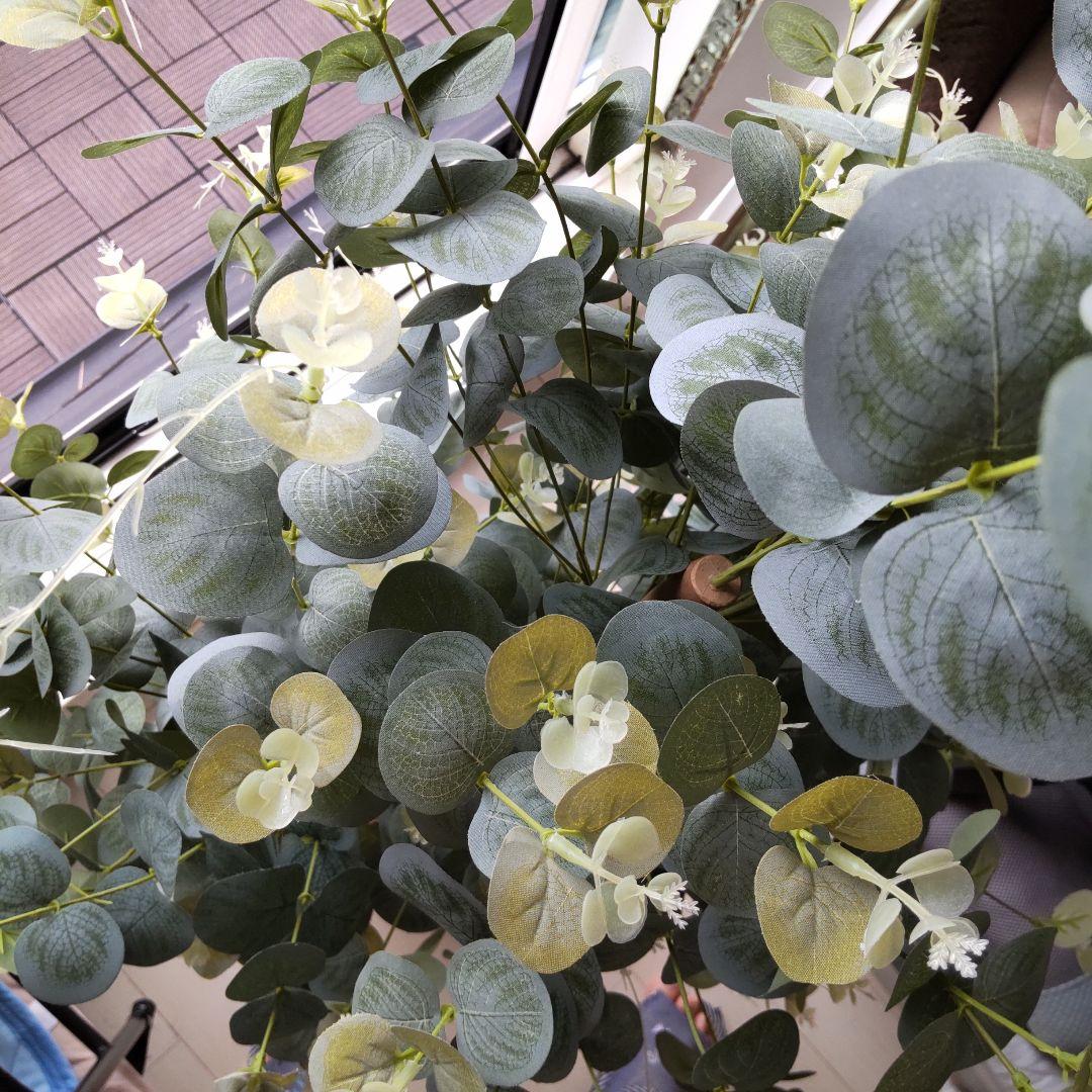 ユーカリの木130cm タイプ！銀丸葉 ！ 大型フェイクプランツ！ 未使用！