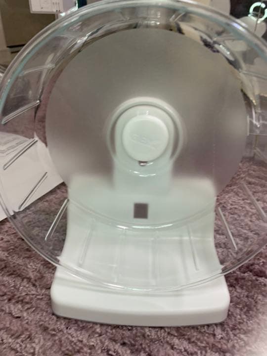 ハリネズミスターターセット