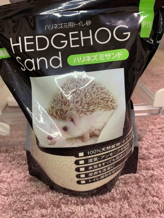 ハリネズミスターターセット