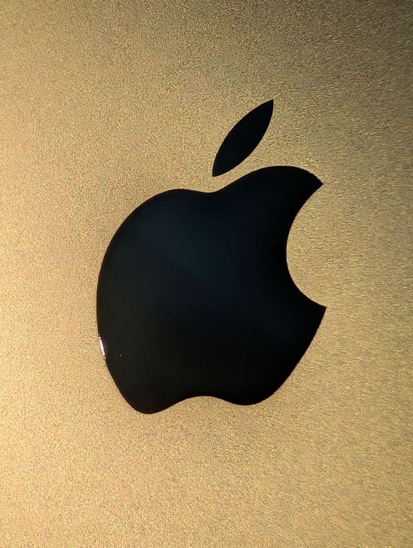 iPad Air 11インチ Ｍ2 256GB スペースグレー ほぼ未使用