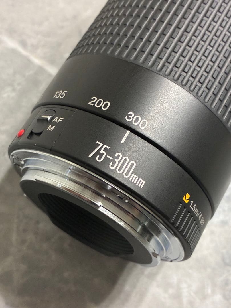 ⭐️外観美品⭐️Canon EF 75-300mm F/4-5.6 II USM
