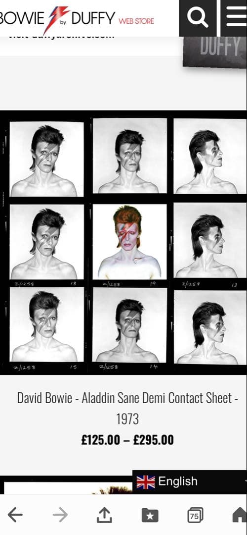 超レア　DavidBowie ✖️DUFFYフォトパネル