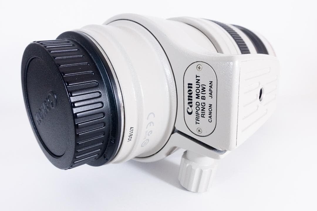 Canon EF100-400mm F4.5-5.6L IS USM ケース付き