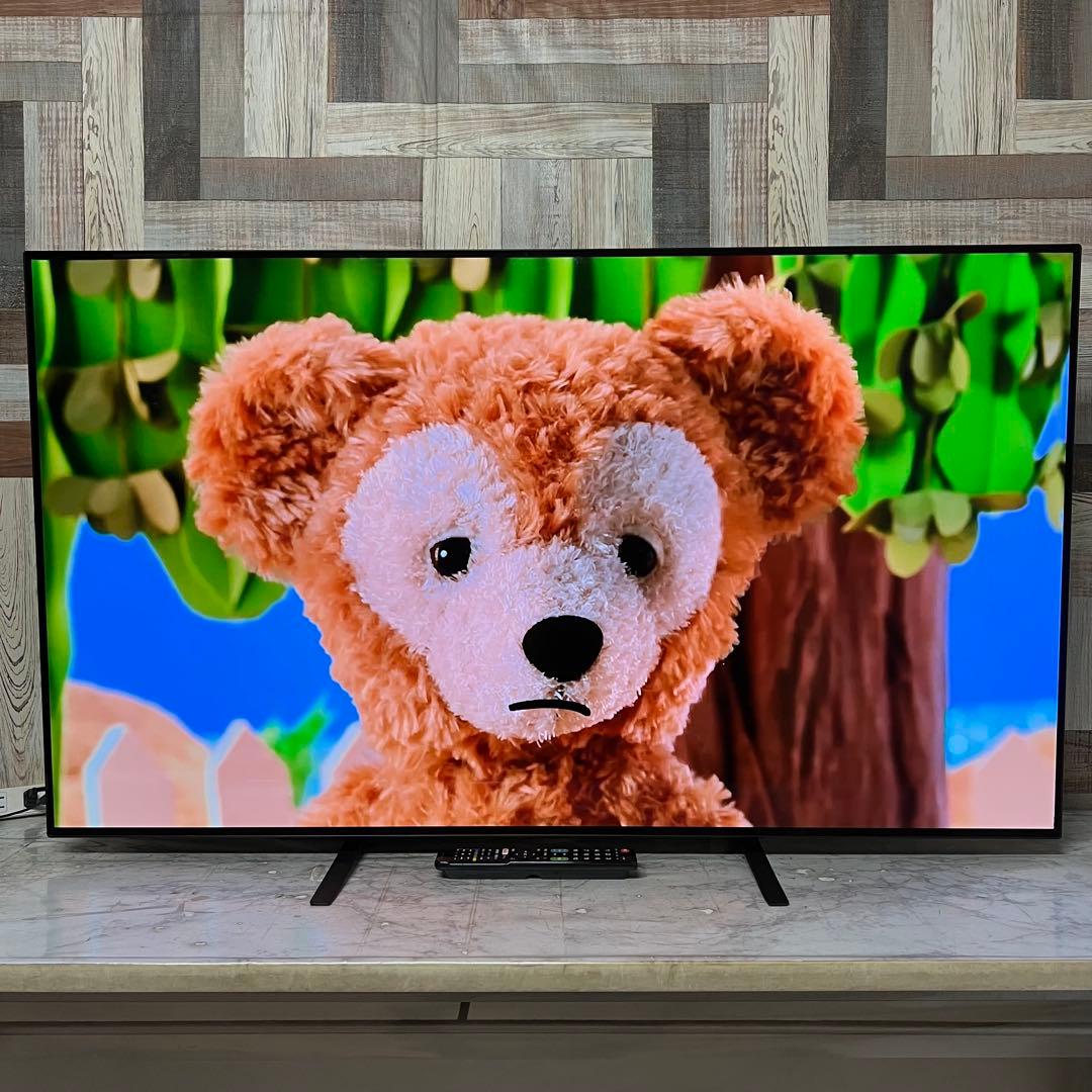 *.+゜さん専用使用時間少LG55型4K有機ELテレビYouTube.NETFL