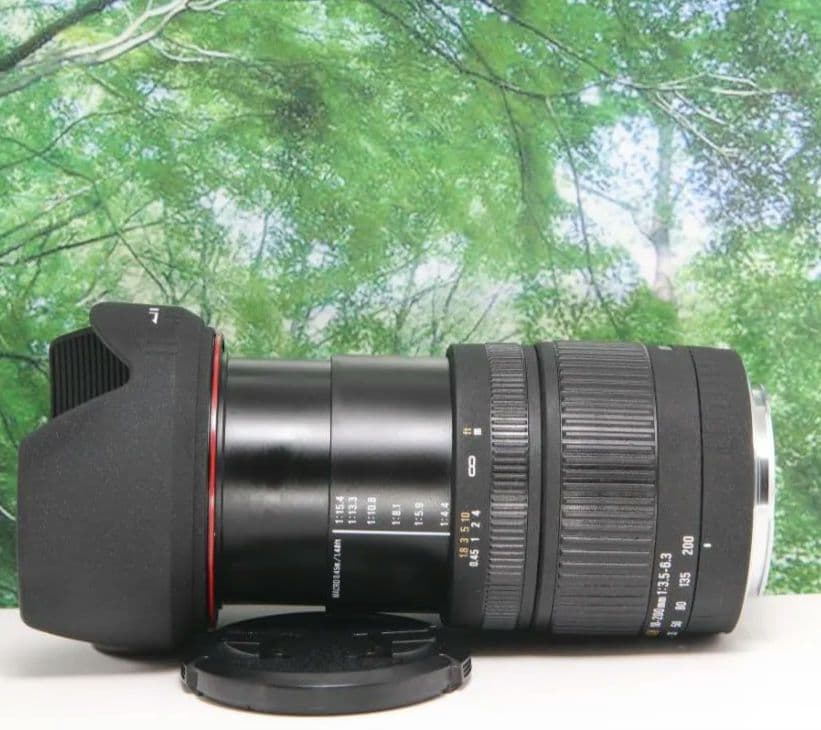 ❤近くから遠くまでこれ１本☆美品♪シグマ 18-200mm DC キャノン用❤