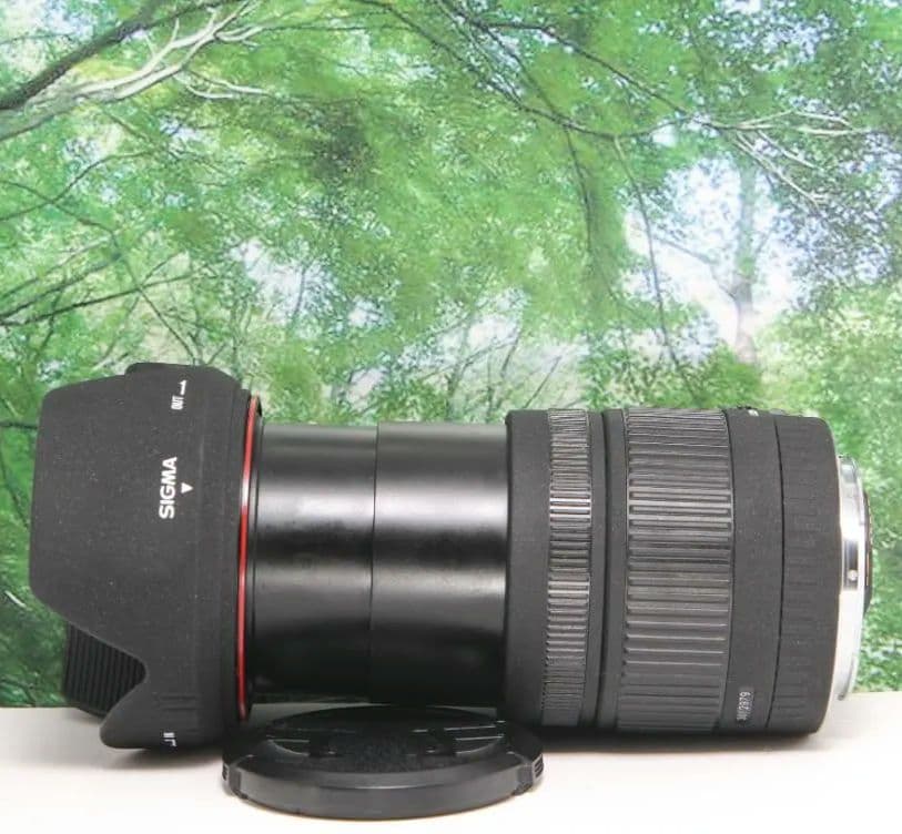 ❤近くから遠くまでこれ１本☆美品♪シグマ 18-200mm DC キャノン用❤