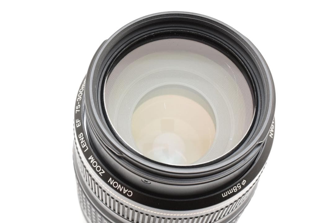 レンズ(ズーム) Canon EF75-300mm F4-5.6 IS USM