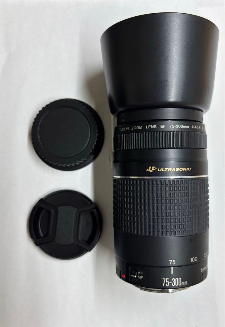 【美品】 Canon EF 75-300mm F4-5.6 III USM