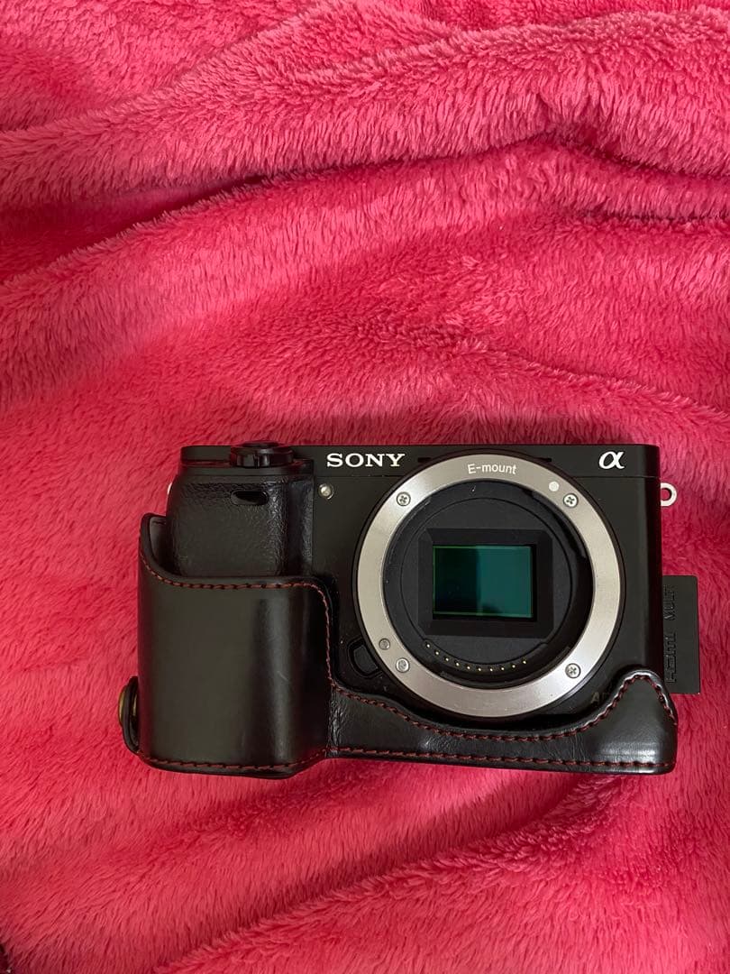 SONY α6000 E 18-200mm レンズ付き