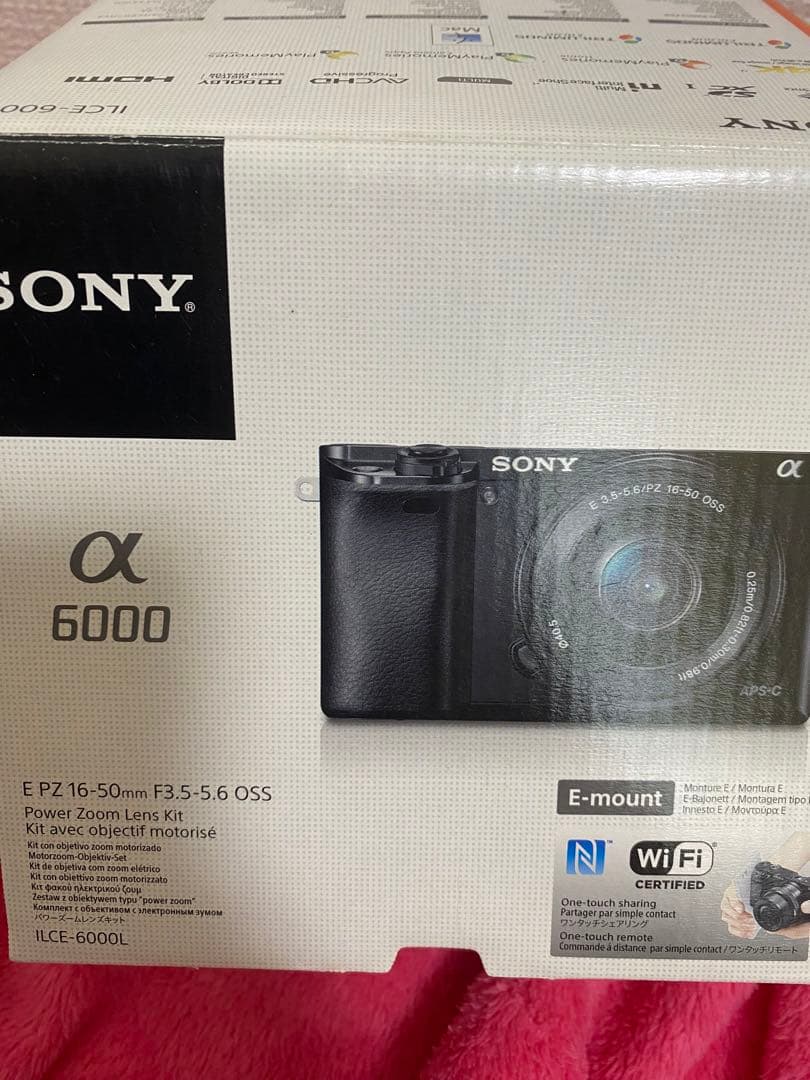SONY α6000 E 18-200mm レンズ付き