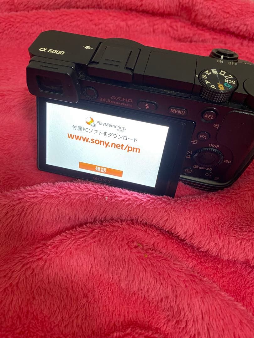 SONY α6000 E 18-200mm レンズ付き