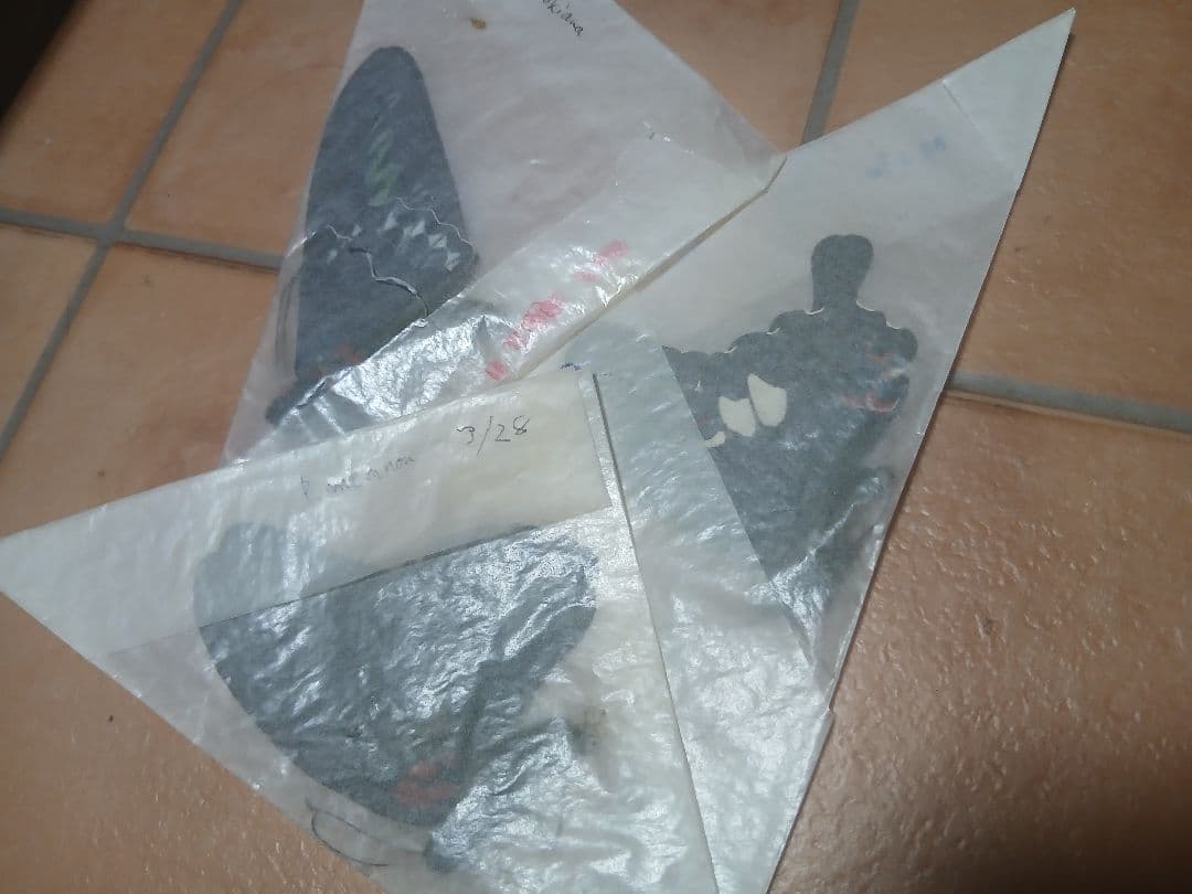 P*.様 蝶の標本セット 木箱入り