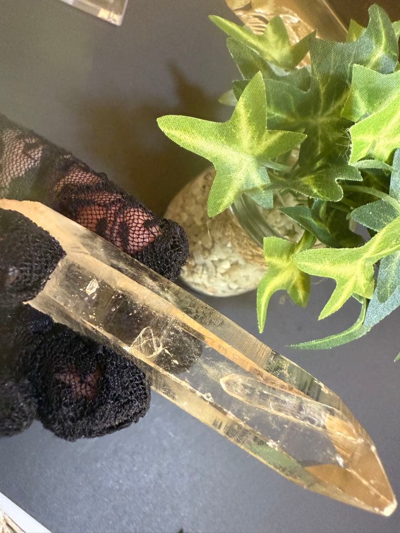 第２弾Special rank Bigピンクレムリアンシード