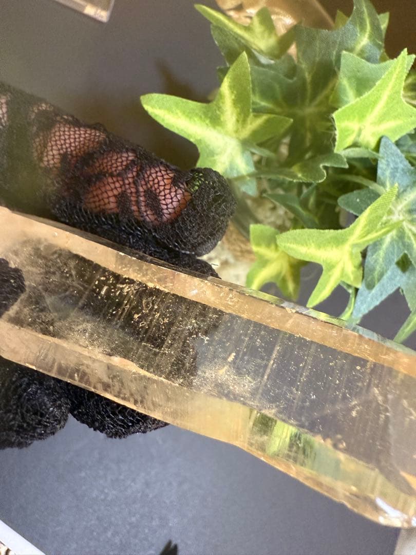 第２弾Special rank Bigピンクレムリアンシード