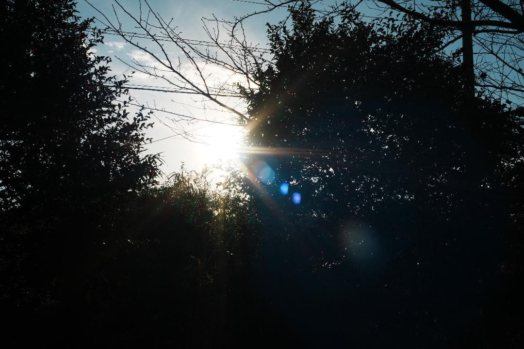 【傑作レンズ】動作◎ Canon New FD 50mm F1.4 159