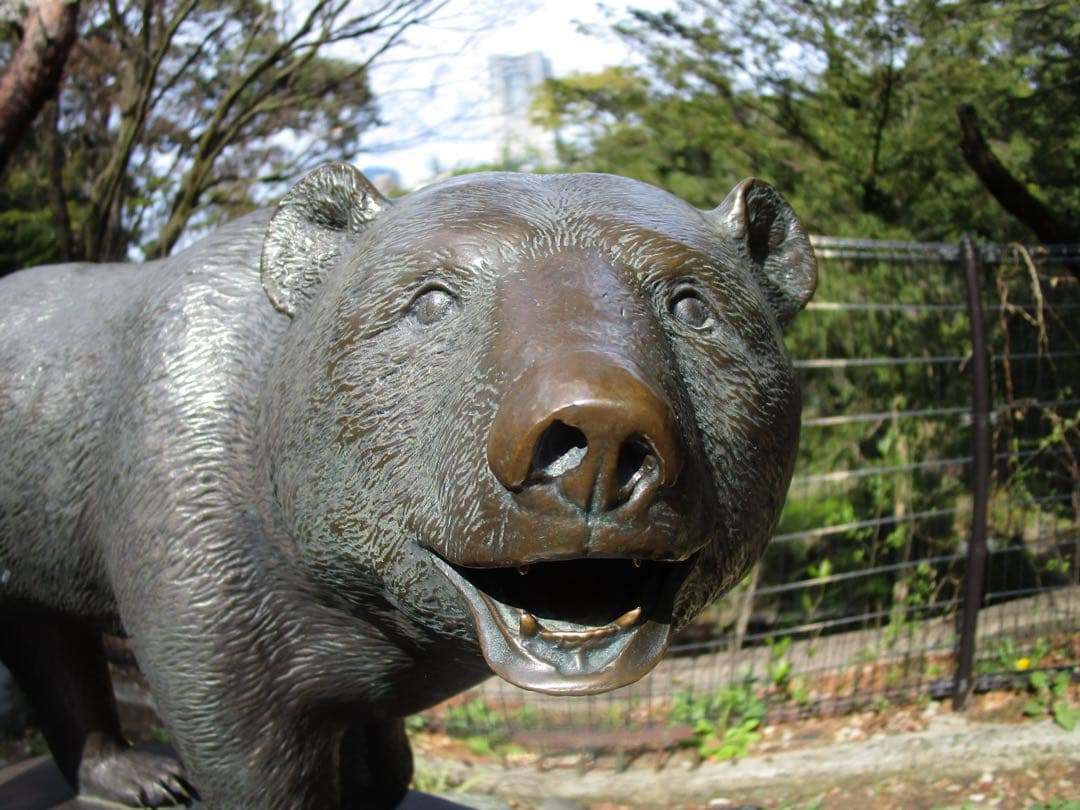 Canon IXY 190 レッド 動作確認済み　付属品完備