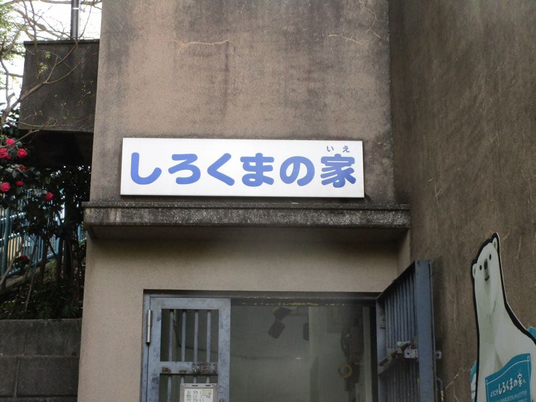 Canon IXY 190 レッド 動作確認済み　付属品完備