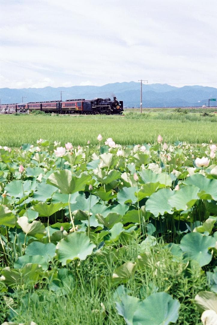 【実写確認済整備品】コンタックス139Quartz／ヤシカML50㎜f1.9付