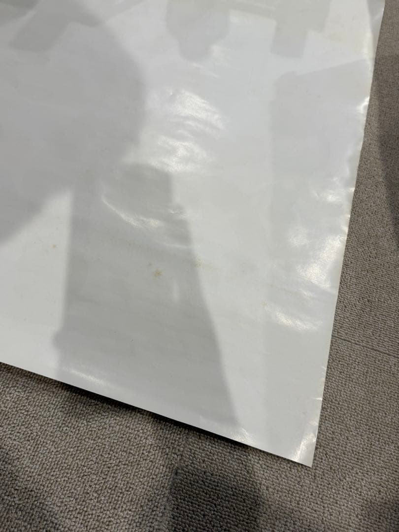 ス*カ様 【10】激レア　家なき子 ポスター