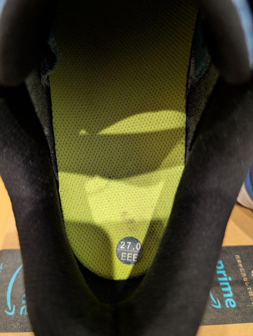 Mizuno ネクスライト エスエル ボア　ゴルフシューズ 　27.0