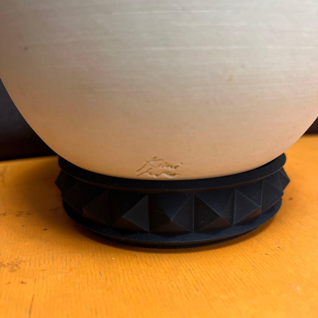 【美株】　コレクション株　アガベ　ホワイトファイヤー　白火焔　鉢ごとメルカリ便