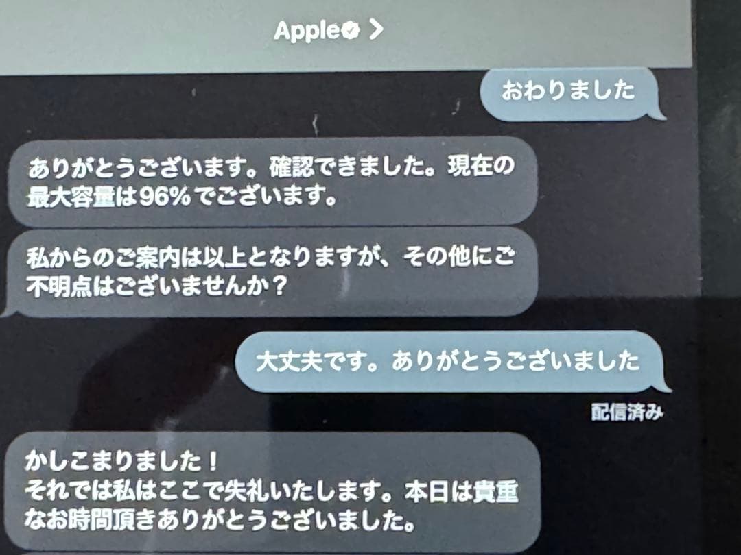 ふ*あ様 iPad mini 第6世代 256GB Cellular Penci