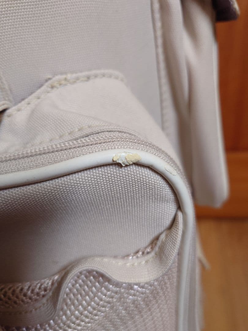 値下げ　NIKE　キャディバッグ　レディース　オマケ付き