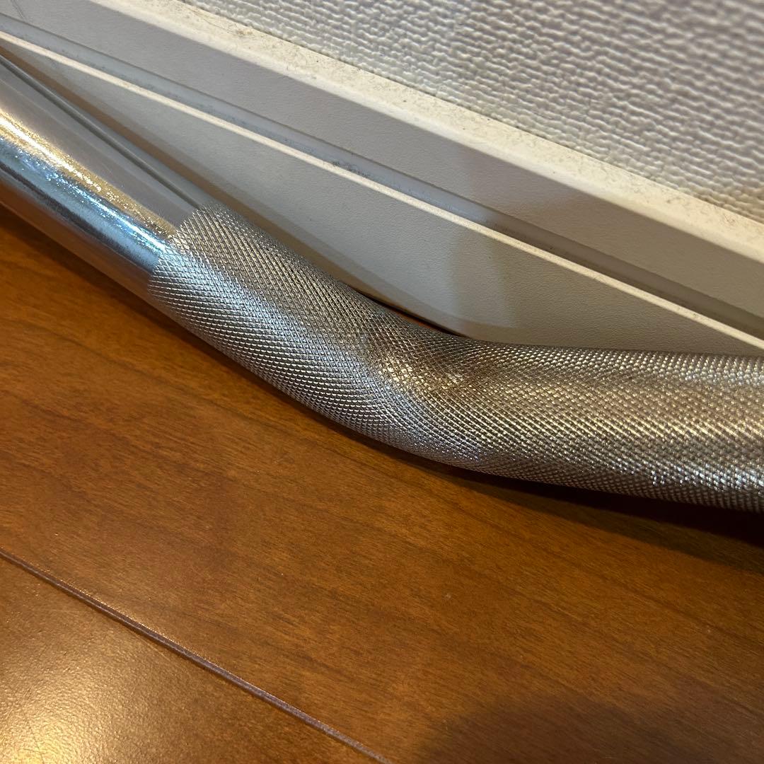 マキシマム様 アイロテックEZバー モリヤ10kgプレート×2枚