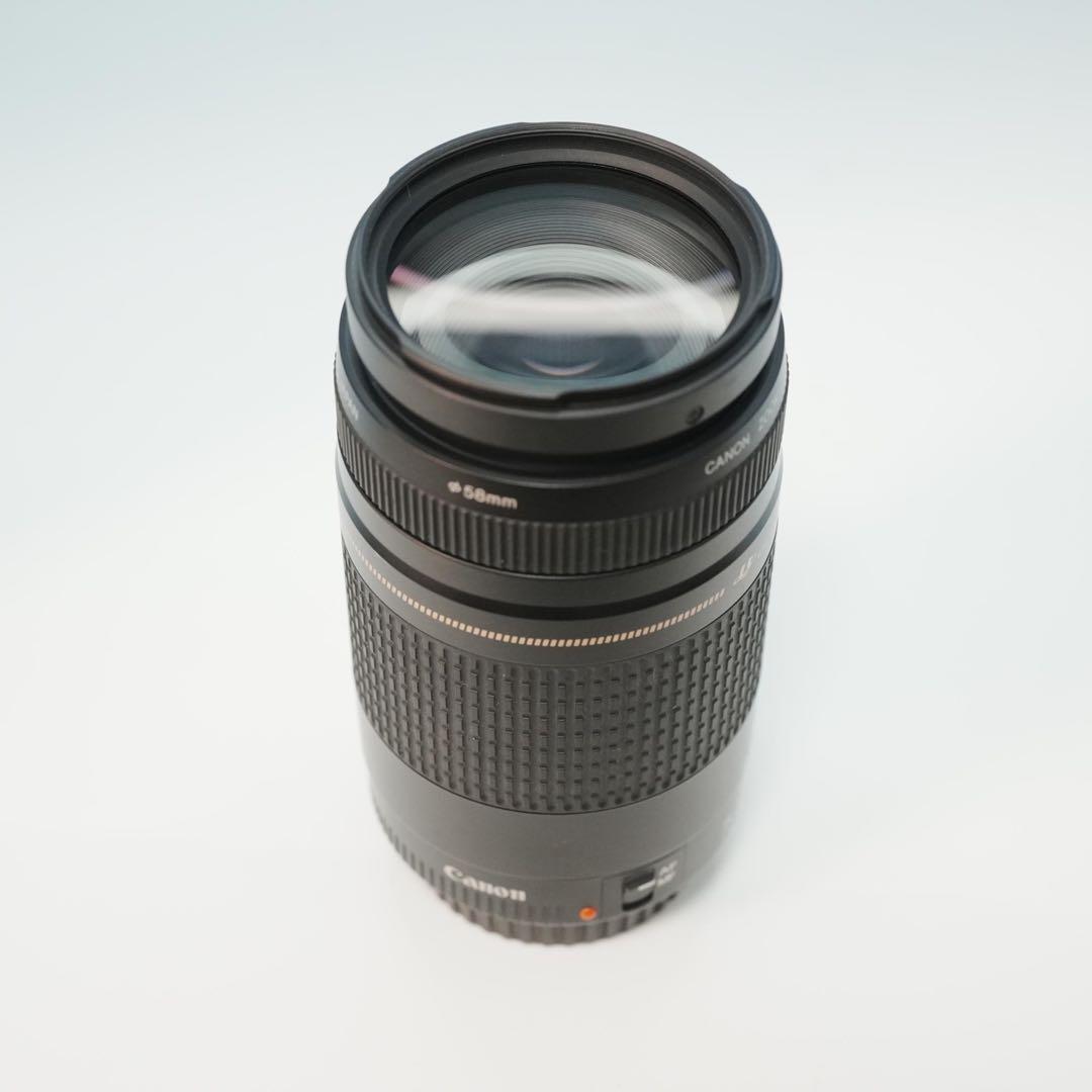 Canon純正 75-300mm 望遠レンズ 極美品 a4963