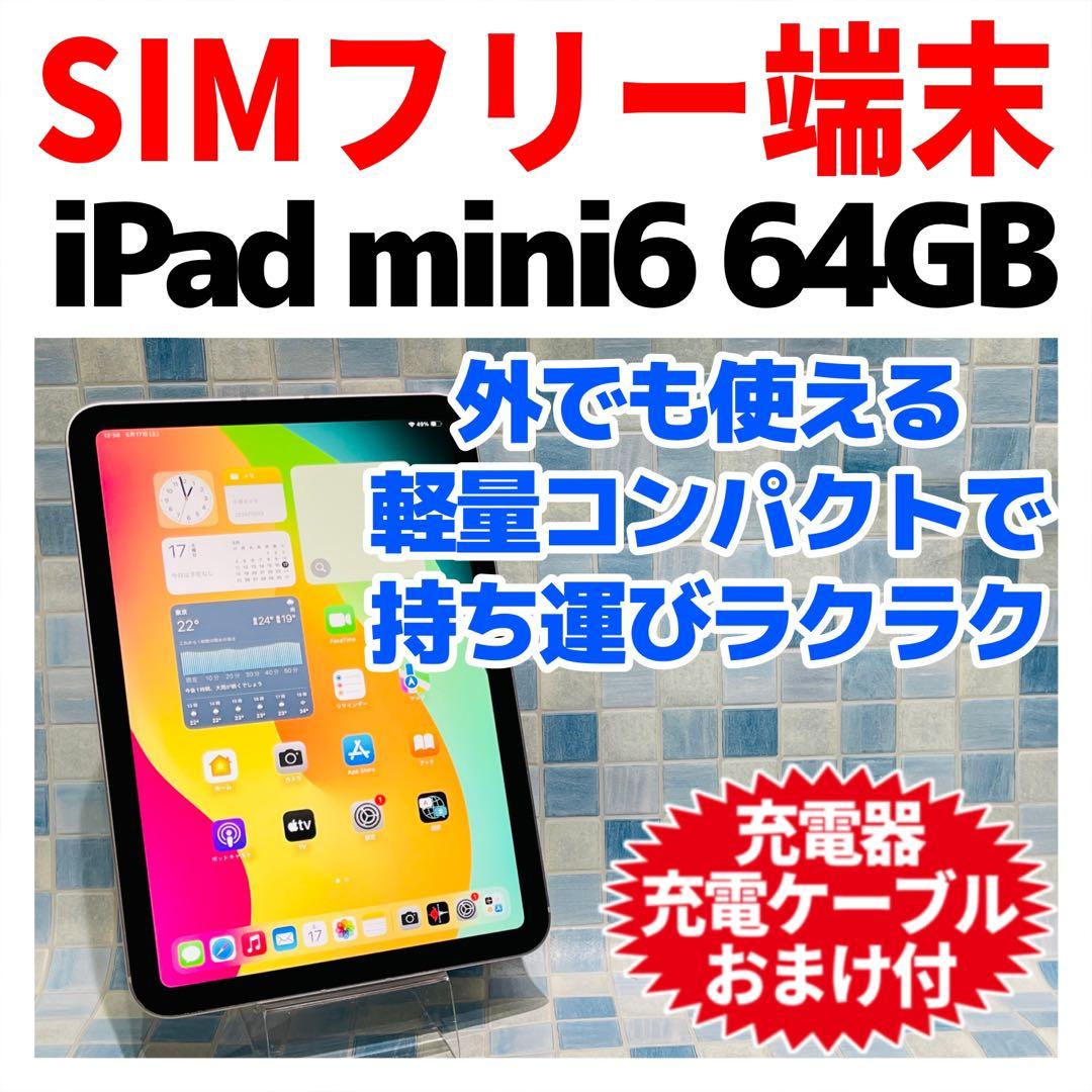 SIMフリー iPad mini 第6世代 本体 64GB ピンク 電池良好