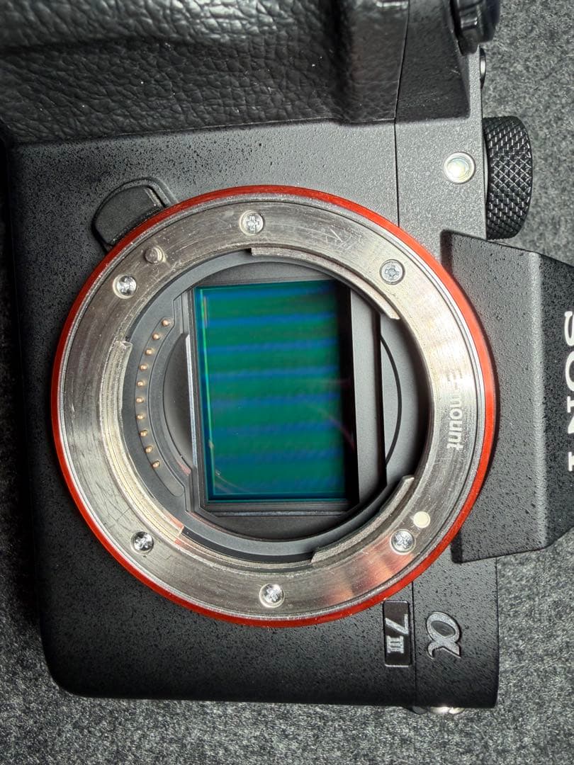 SONY α7iii 【シャッター回数1万枚以下】