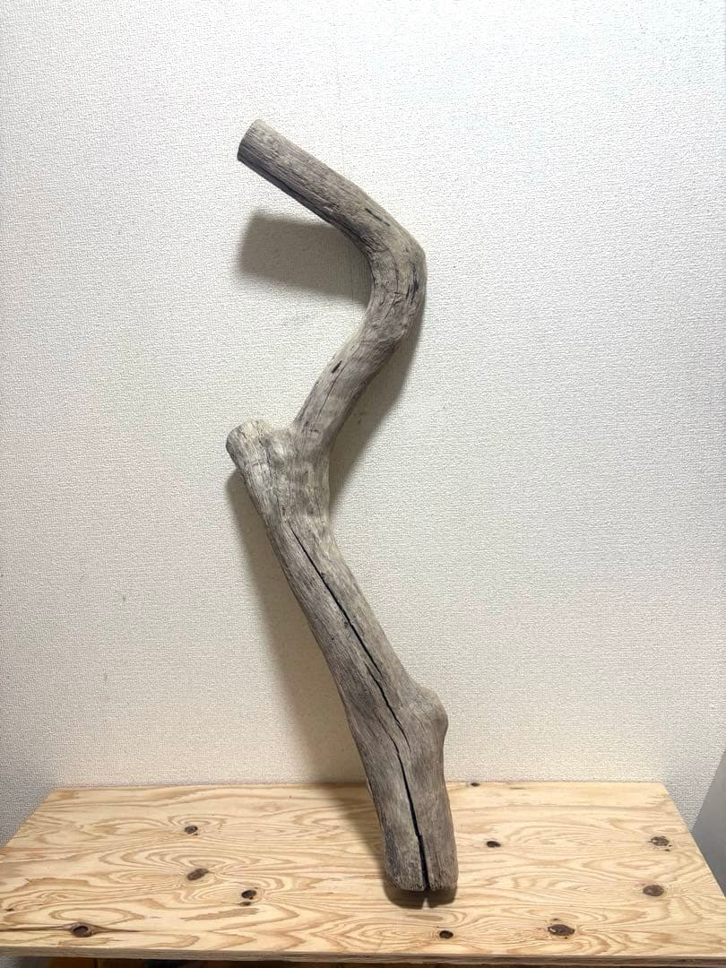 Ｇ39 流木　爬虫類　両生類　小動物シェルター　DIY ハンドメイド　観葉植物