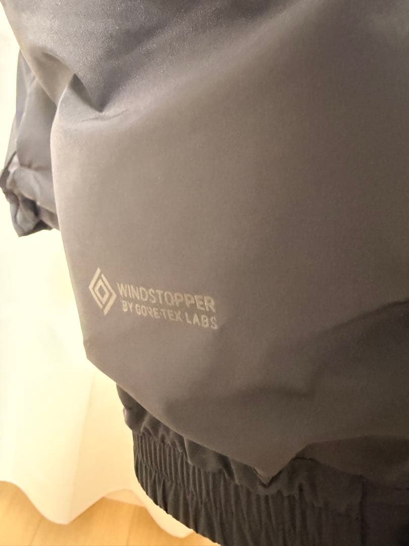 DAIWAPIER39 GORE-TEX ダウンジャケット　25AW