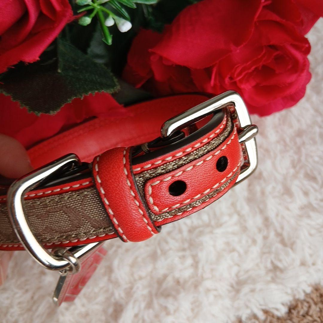 新品　未使用　COACH　コーチ　犬　シグネチャー　首輪　レア　XS　小型犬